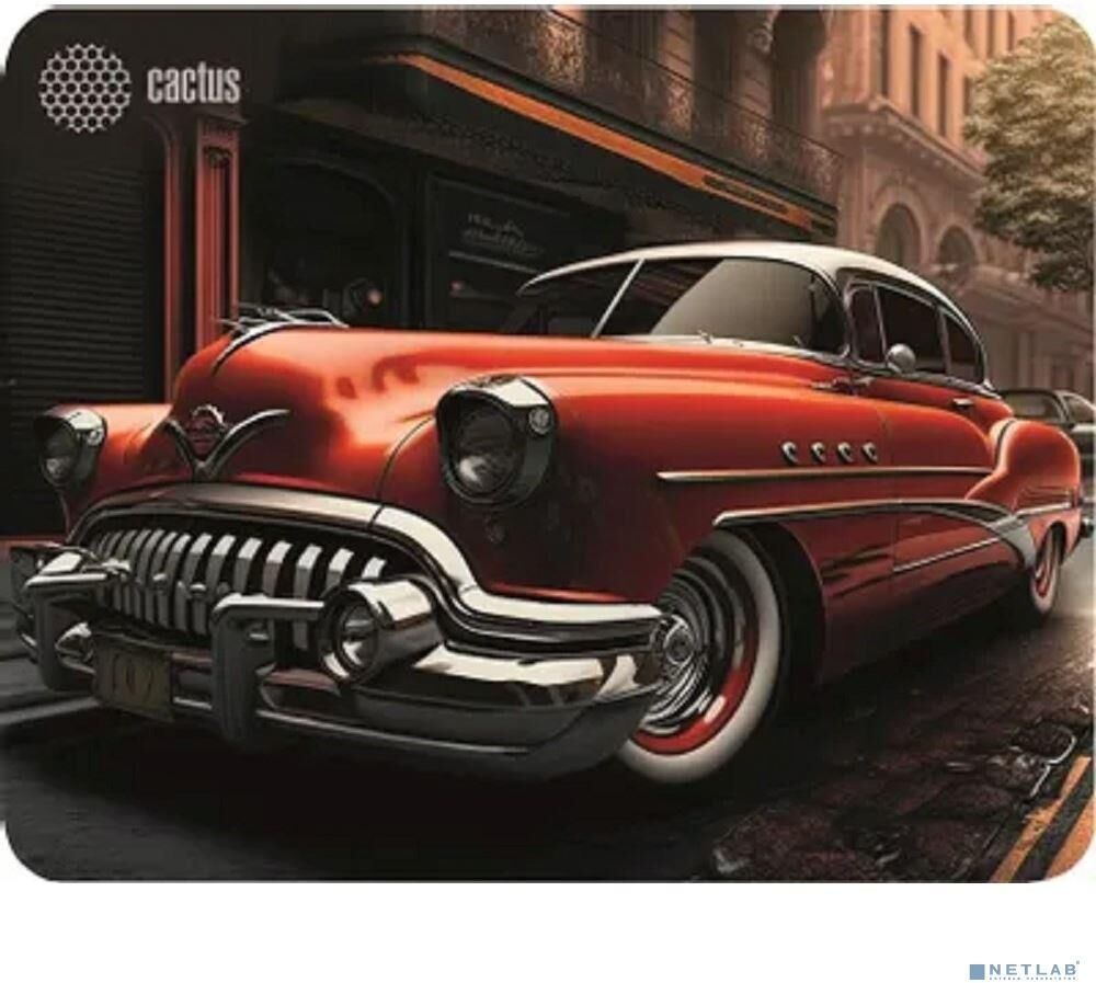 1868dda2670511f1ba5600d86130cc73_1868dda3670511f1ba5600d86130cc73 CACTUS CS-MP-P07