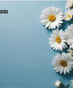 CACTUS Коврик для мыши Daisies ткань, 250х200х3мм [cs-mp-d07s]