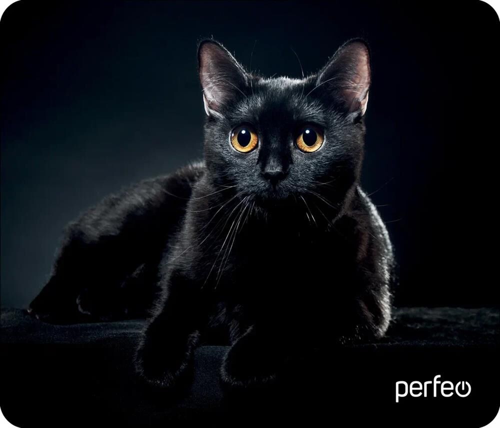 4bee82f7c93b11f18a1300d86130cc73_4bee82f8c93b11f18a1300d86130cc73 PERFEO (PF_D0665) «Cat»